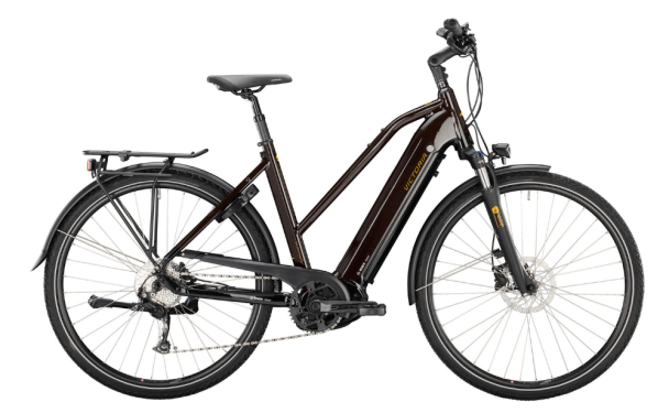 Victoria eTrekking 12.8 TR53 cm 625Wh '22  barna elektromos kerékpár