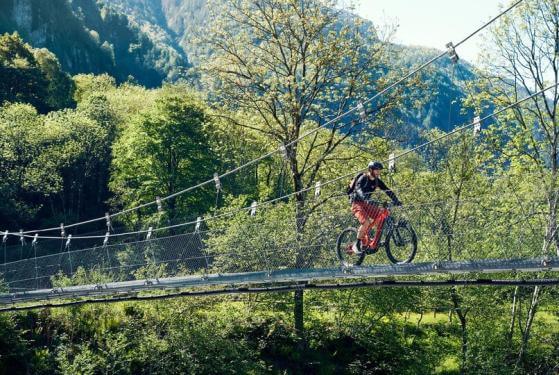 RM Delite mountain touring 47 cm '23 piros elektromos kerékpár (625Wh, Nyon)