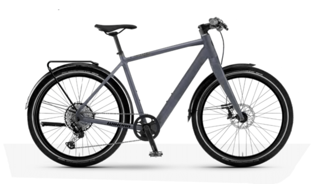 Winora EFlitzer10 250Wh HE42 '24 szürke elektromos kerékpár