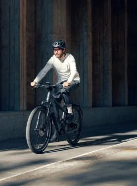 RM Delite GT vario HS 51 cm '22 szürke elektromos kerékpár (625Wh, Intuvia, comfort kit)
