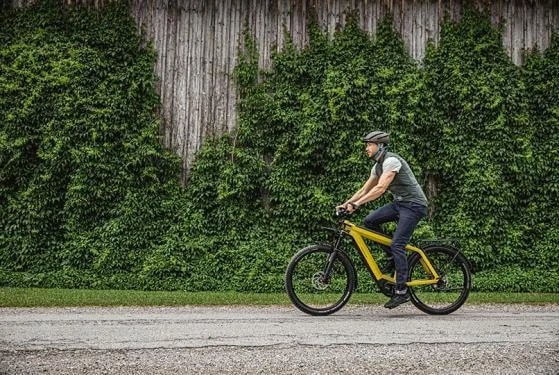 RM Supercharger GT rohloff HS 46 cm '22 sárga elektromos kerékpár (1250Wh, Nyon, első kosár, GX, zár táskával)