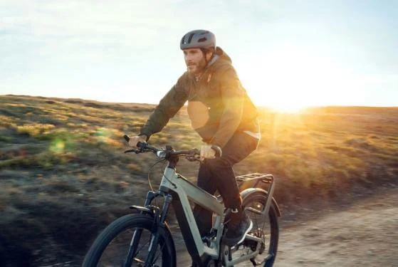 RM Superdelite GT vario HS 51 cm '22 ezüst elektromos kerékpár (1125Wh, Nyon, első kosár, comfort kit)