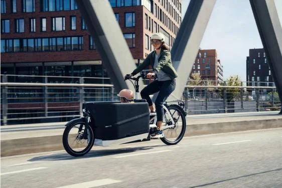 RM Packster 70 vario '23 fehér elektromos kerékpár (625 Wh, Purion, Csomagtartó)